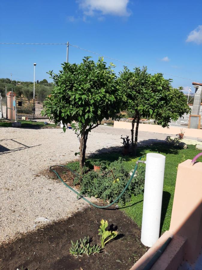 Guesthouse Da Caterina San Giovanni  Esterno foto